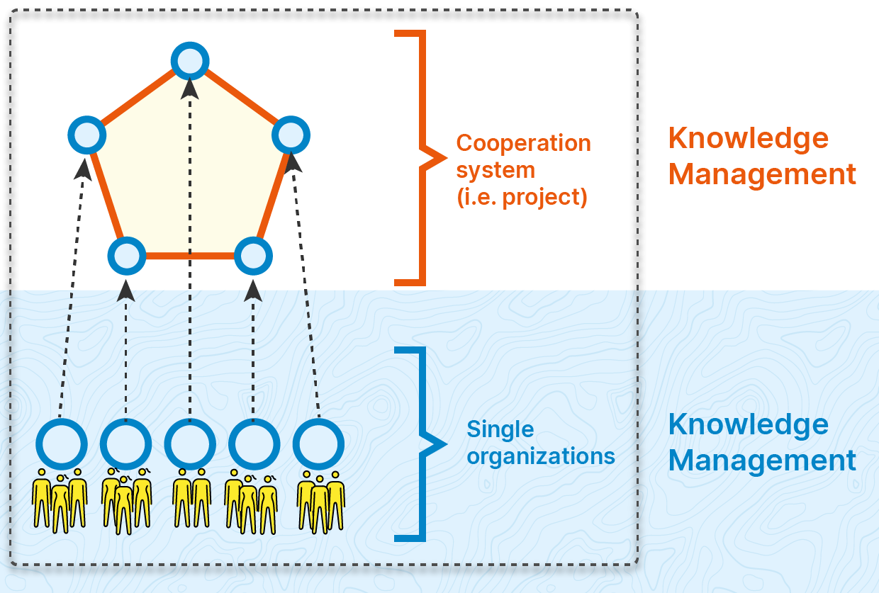 Knowledge management and social systems
